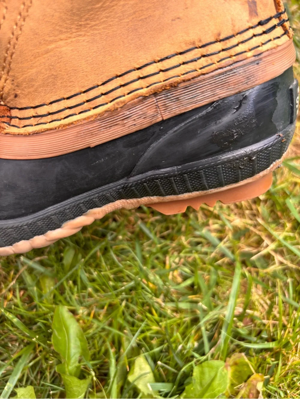 Sorel Cheyanne Strap Boots